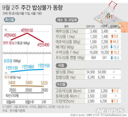 뉴시스