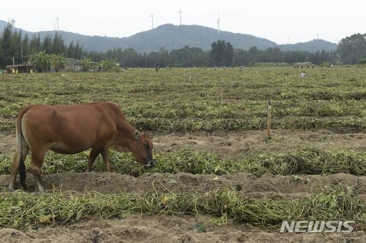 뉴시스