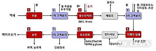 뉴시스