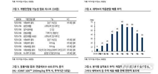 뉴시스