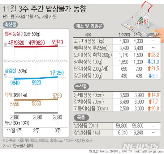 뉴시스