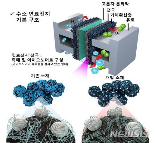 뉴시스