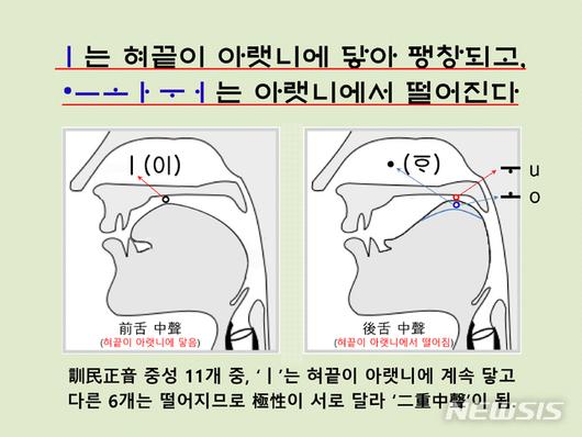 뉴시스