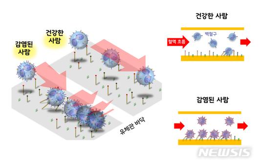 뉴시스