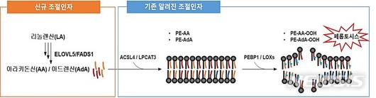 뉴시스