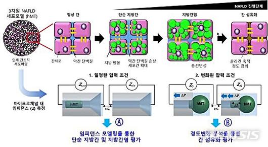 뉴시스