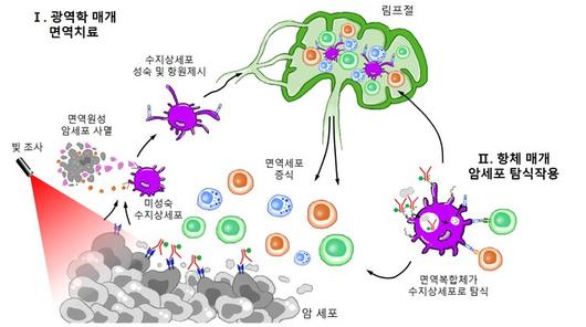 뉴시스