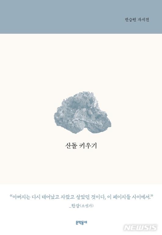 뉴시스