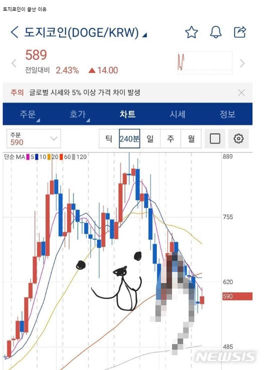 뉴시스