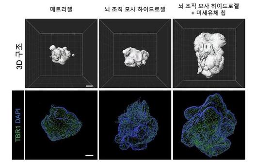 뉴시스