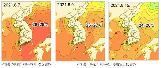 뉴시스