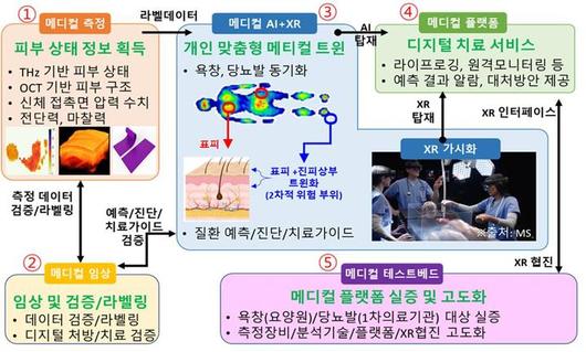 뉴시스