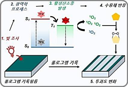 뉴시스