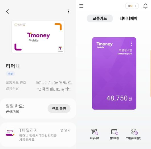 삼성페이(왼쪽)와 모바일티머니의 교통카드 서비스. 두 앱 간 교통카드가 연동돼 모바일티머니에 등록된 교통카드에 '삼성페이(Samung Pay)' 마크가 표시되어 있다. (사진=삼성페이·모바일티머니 캡처) *재판매 및 DB 금지