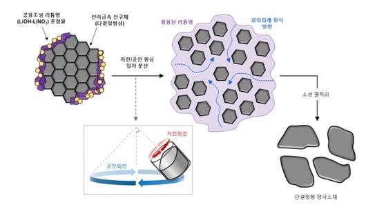 뉴시스