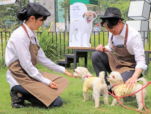 (사진=스타벅스 코리아 제공)