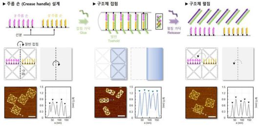 DNA 와이어프레임 종이의 접힘과 펼침 방법. 원하는 접기를 구현하기 위해 접는 선(주름) 주변부에 바깥쪽으로 돌출된 DNA 가닥(주름 손)을 설계했다. (사진=과기정통부 제공) *재판매 및 DB 금지