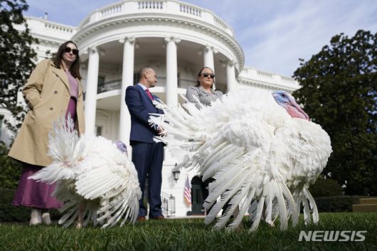 The national Thanksgiving turkeys, Liberty and Bell, arrive for a pardoning ceremony on the South Lawn of the White House in Washington, Monday, Nov. 20, 2023. (AP Photo/Andrew Harnik)