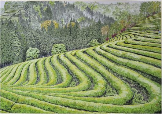 이상표, 보성 녹차밭-봄이 오는 길목,99x70cm,수묵담채 *재판매 및 DB 금지