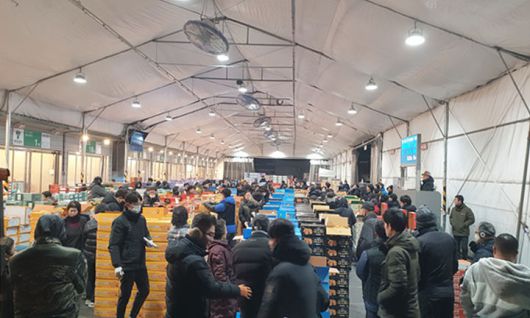 [대구=뉴시스]대구농수산물유통관리공사 경매 현장이다. 뉴시스DB. 2026.01.15 photo@newsis.com *재판매 및 DB 금지