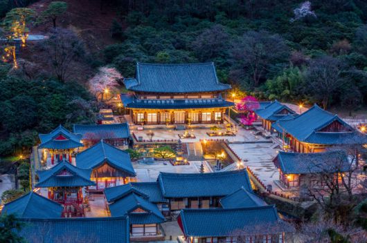 [서울=뉴시스] 대한불교조계종 19교구 지리산 대화엄사 교구장 덕문 스님은 23일 2024 제4회 화엄사 홍매화·들매화 사진 콘테스트의 응모작 심사 결과 수상작들을 발표했다. 사진은 전문 프로작가 사진 콘테스트 교육원장상 수상작인 신윤철씨의 '화엄사 야경과 홍매화'. (사진=화엄사 제공) 2024.04.23. photo@newsis.com *재판매 및 DB 금지