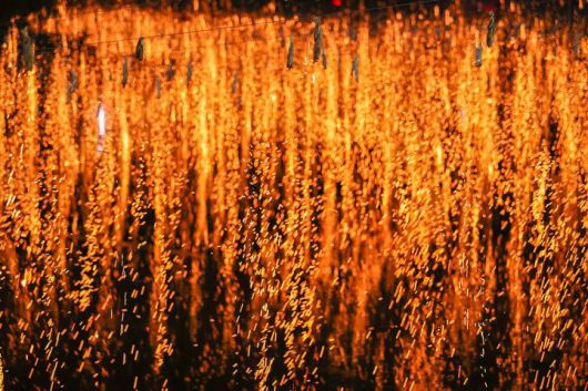 [함안=뉴시스]제31회 경남 함안 낙화놀이.2024.05.15.(사진=함안군 제공) photo@newsis.com  *재판매 및 DB 금지