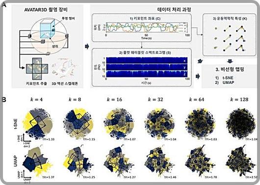 뉴시스