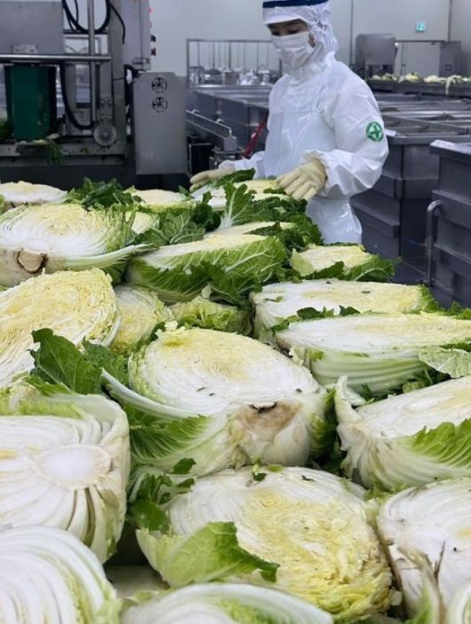[서울=뉴시스] 박솔미. (사진=박솔미 인스타그램 캡처) 2024.06.20. photo@newsis.com *재판매 및 DB 금지