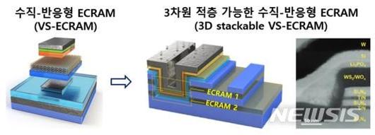 뉴시스