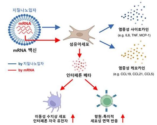 뉴시스