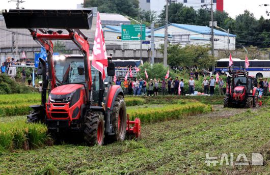 [안성=뉴시스] 김금보 기자 = 전국농민회총연맹 회원들이 지난해 9월 12일 경기도 안성시 미양면 논에서 '쌀값보장·쌀수입저지·양곡관리법 개정안 관철을 위한 논 갈아엎기 투쟁' 집회를 열고 논을 트랙터로 갈아엎고 있는 모습. 2024.09.12. kgb@newsis.com