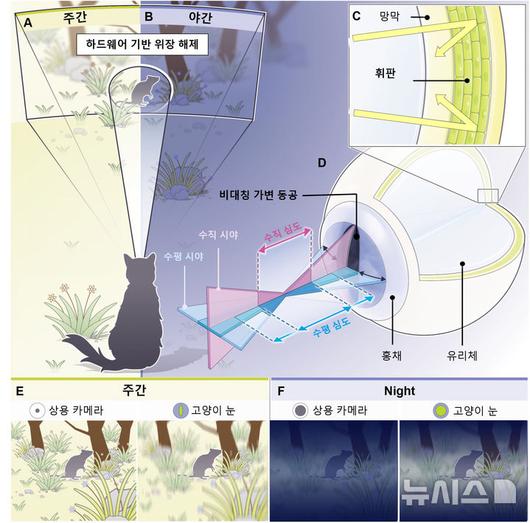 뉴시스