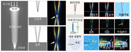 뉴시스