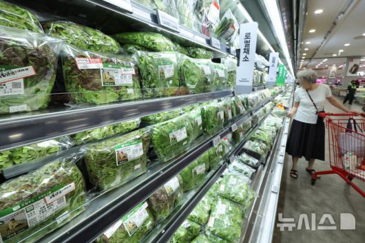 [서울=뉴시스] 김금보 기자 = 서울시내 한 대형마트에서 손님이 깻잎 등 채소 코너를 살펴보고 있다. kgb@newsis.com