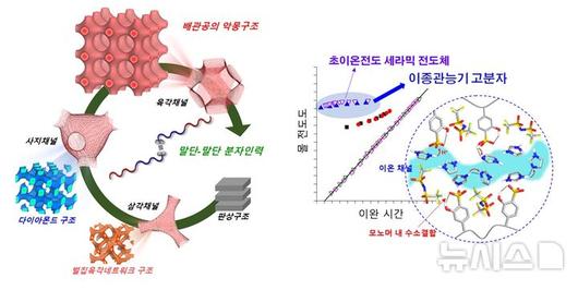 뉴시스