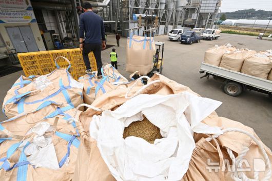 [화성=뉴시스] 김종택 기자 = 경기 화성시 비봉면 수라청연합농협미곡처리장(RPC). 2024.10.07. jtk@newsis.com