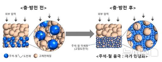 뉴시스