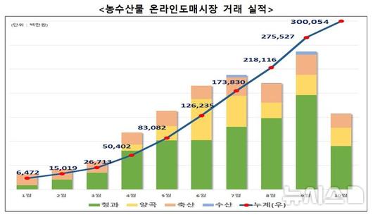 뉴시스