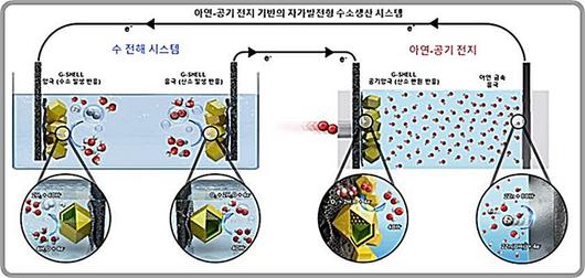 뉴시스