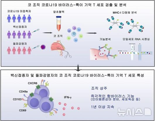 뉴시스