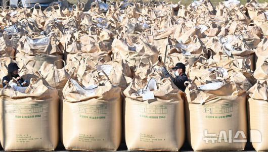 [평택=뉴시스] 김종택기자 = 지난해 11월 7일 경기도 평택시 오성면 농업생태원에서 열린 2024년산 공공비축미곡 매입 현장에서 검수원들이 벼의 품질을 검수하고 있는 모습. 2024.11.07. jtk@newsis.com