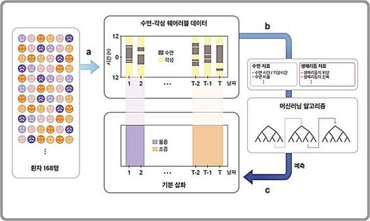 뉴시스