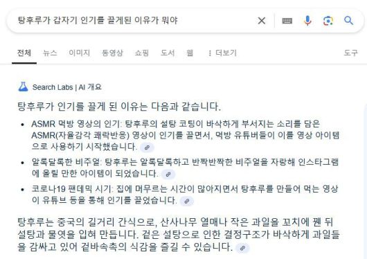 [서울=뉴시스] 6일 구글에 따르면 구글코리아는 전날 공식 블로그를 통해 'AI 개요' 한국 출시 소식을 전했다. (사진=구글 검색 캡처) *재판매 및 DB 금지