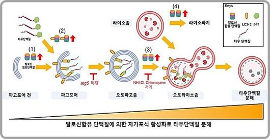 뉴시스