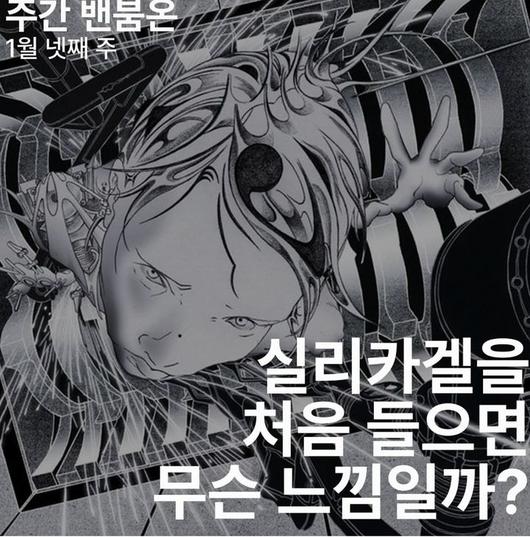 뉴시스