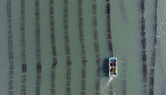 [홍성=뉴시스] 유효상 기자 = 이번 겨울 가장 추운 날씨를 기록한 가운데 10일 충남 홍성군 남당항 김 양식장에서 추위에도 어업인들이 김 수확을 하고 있다. (사진=홍성군 제공) 2025.01.11 photo@newsis.com *재판매 및 DB 금지