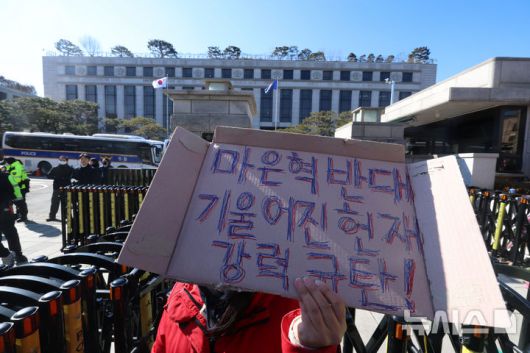뉴시스