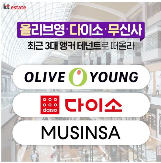 뉴시스