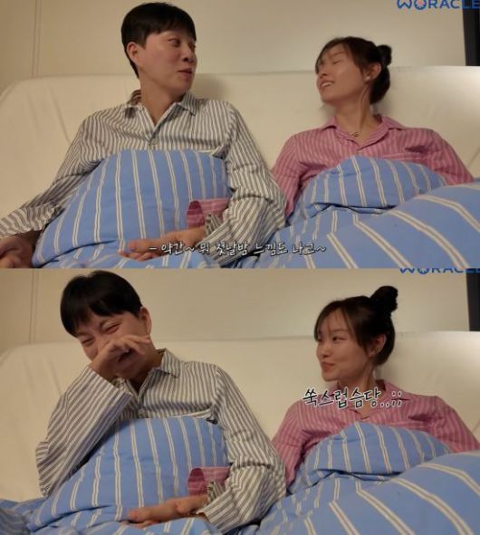 뉴시스