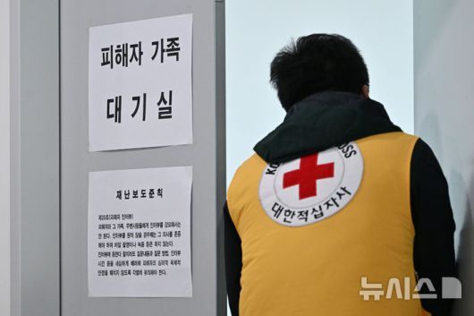 뉴시스